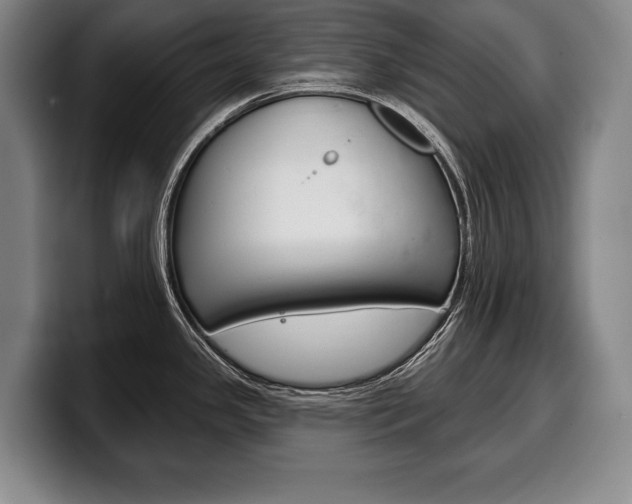 X0000100331341200806051155