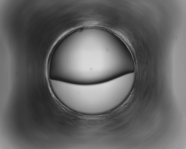 X0000100331342200806051156