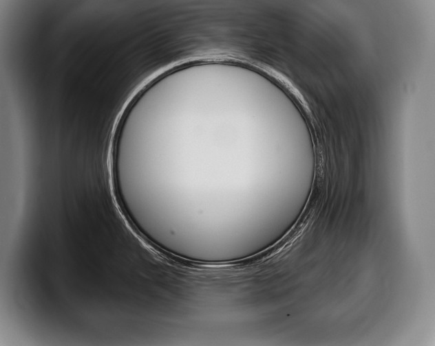 X0000100331343200806051156