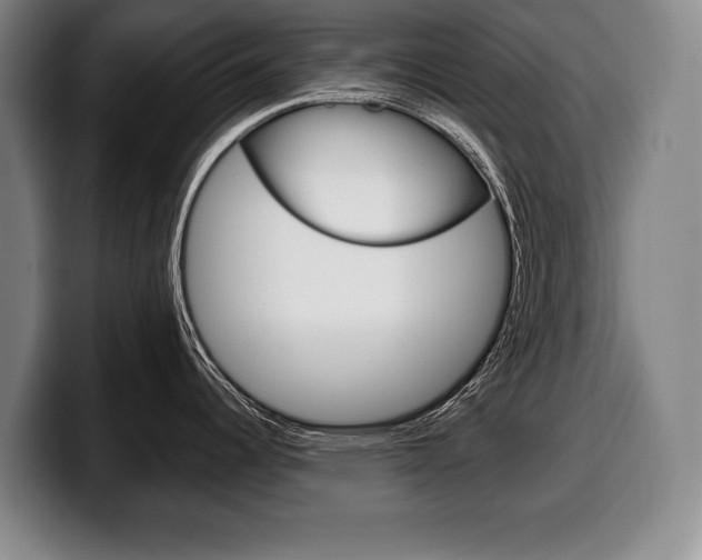 X0000100331344200806051156