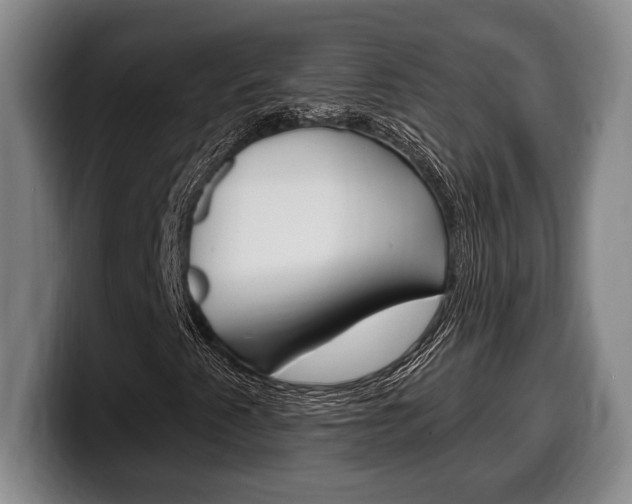X0000100331345200806051155