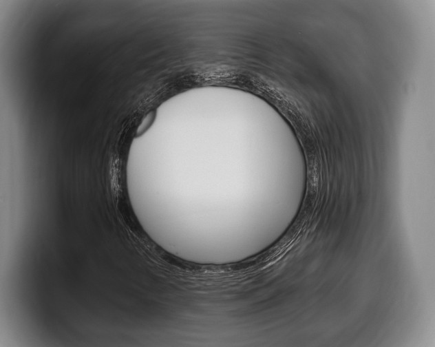 X0000100331346200806051155