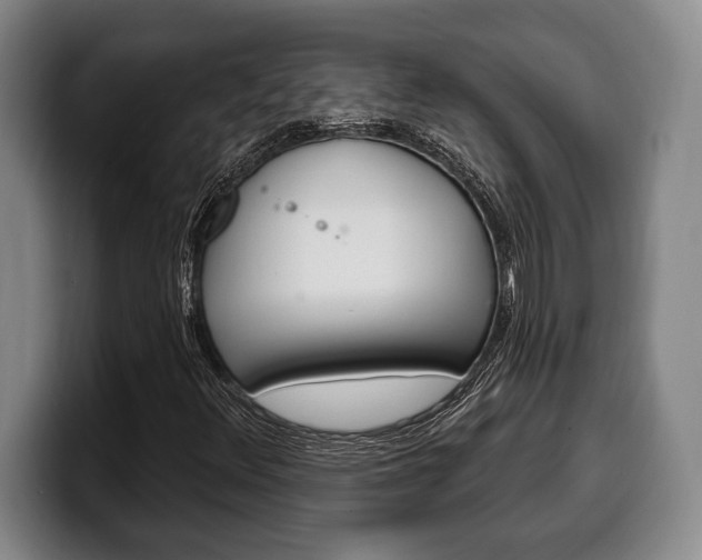 X0000100331348200806051155