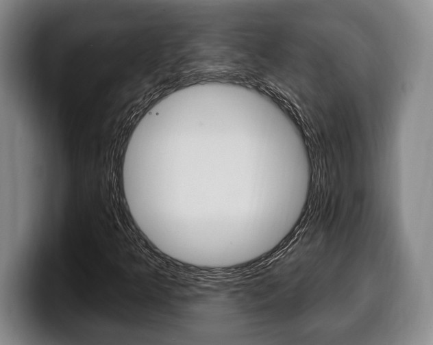X0000100331349200806051155