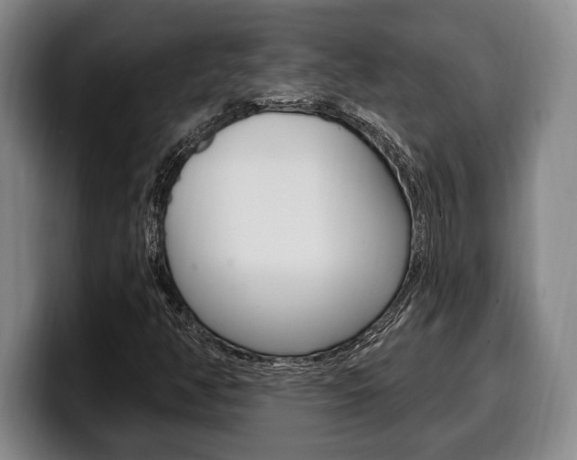 X0000100331350200806051155