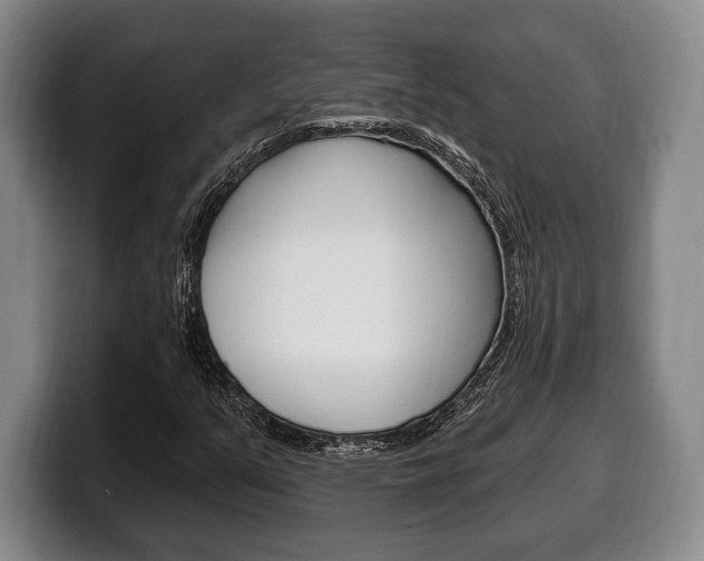 X0000100331351200806051155