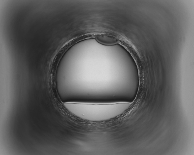 X0000100331352200806051155