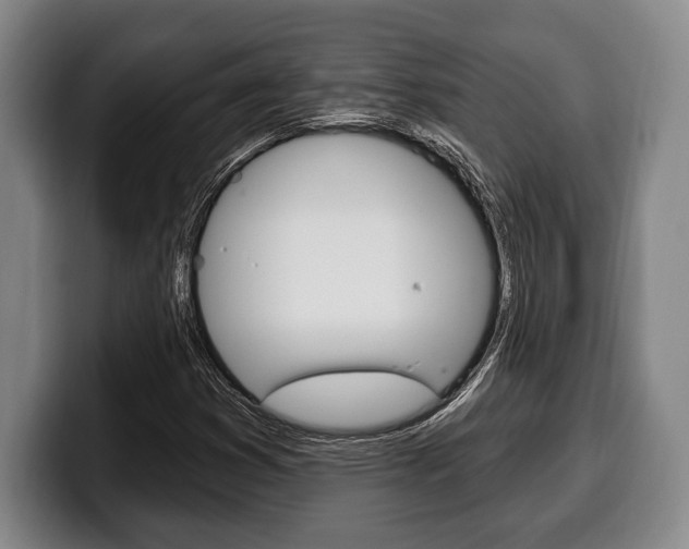 X0000100331353200806051155