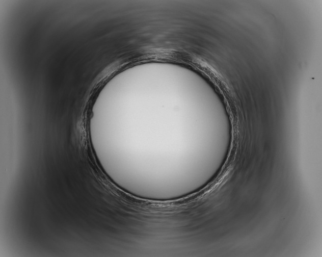 X0000100331354200806051155