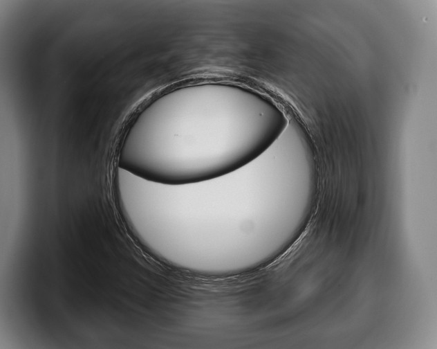 X0000100331355200806051155