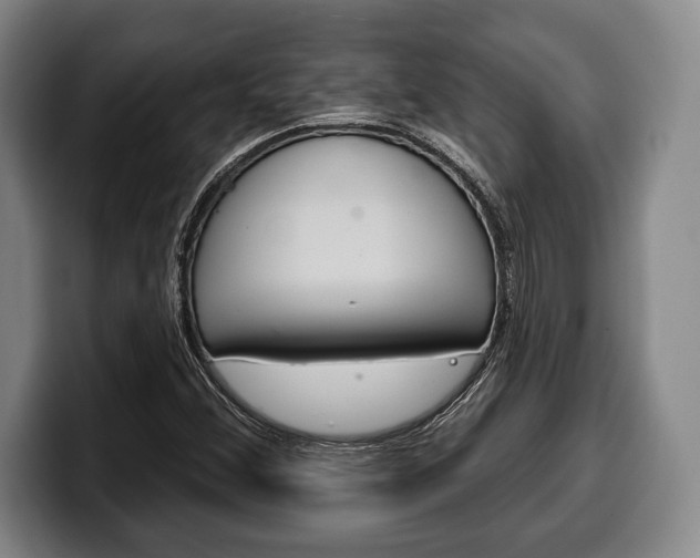 X0000100331356200806051155