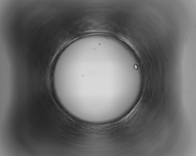 X0000100331357200806051155