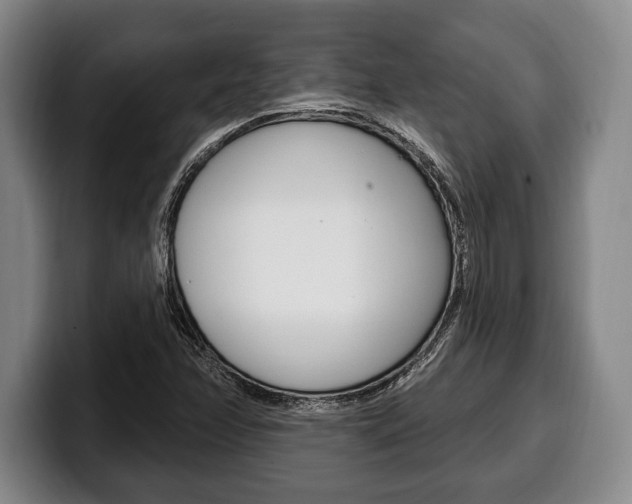 X0000100331358200806051155