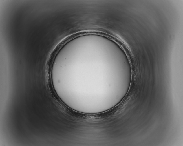 X0000100331360200806051155