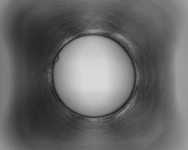 X0000100331361200806051155