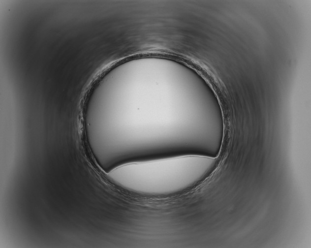 X0000100331363200806051155