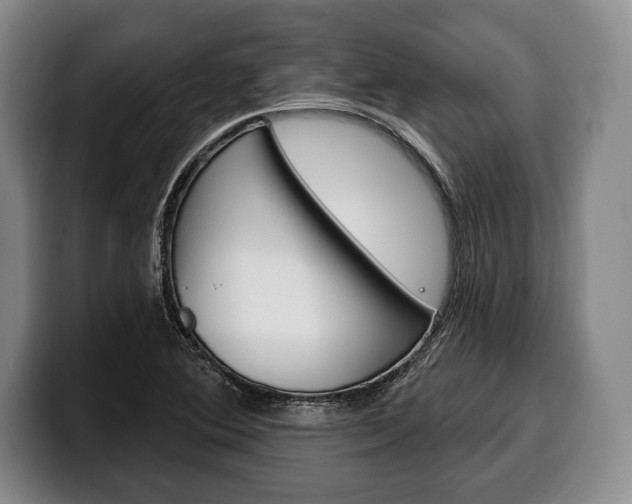 X0000100331364200806051155
