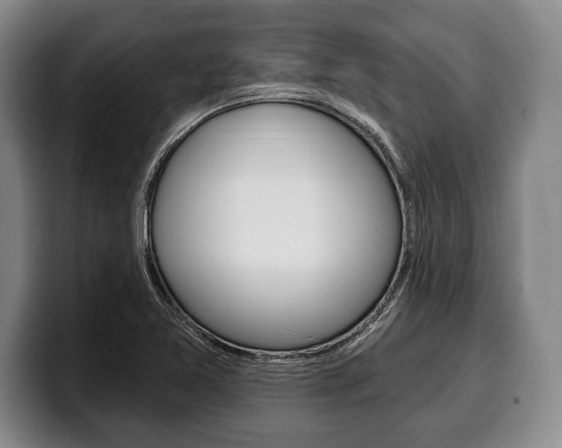 X0000100331365200806051155