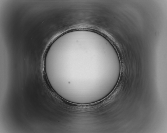 X0000100331366200806051155