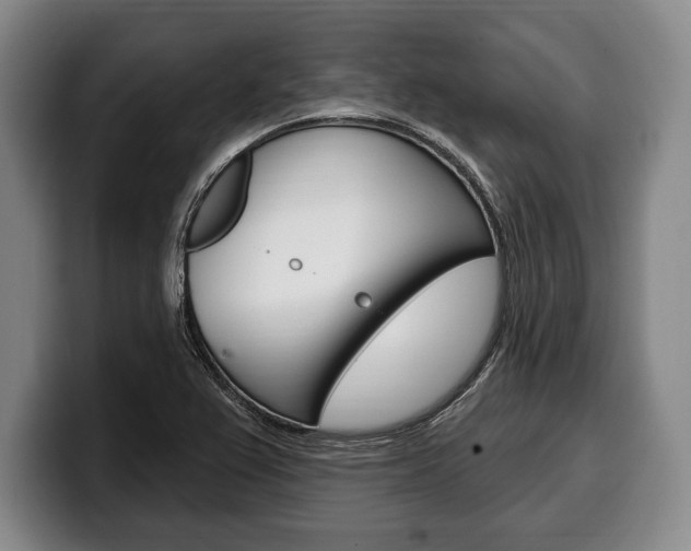 X0000100331367200806051155