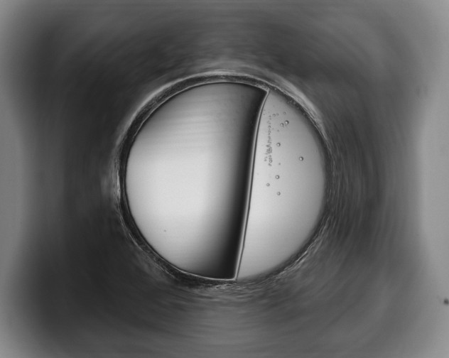 X0000100331368200806051155