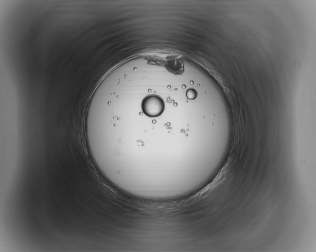 X0000100331369200806051155