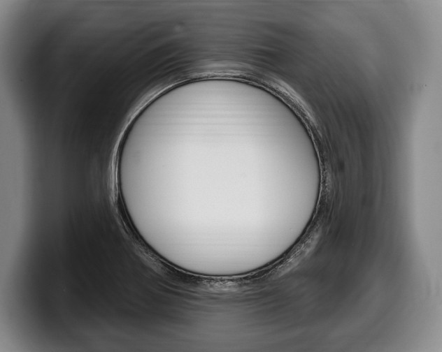 X0000100331370200806051155