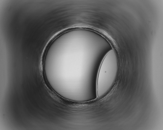 X0000100331372200806051155