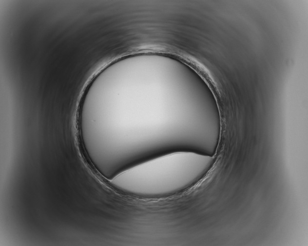X0000100331373200806051155