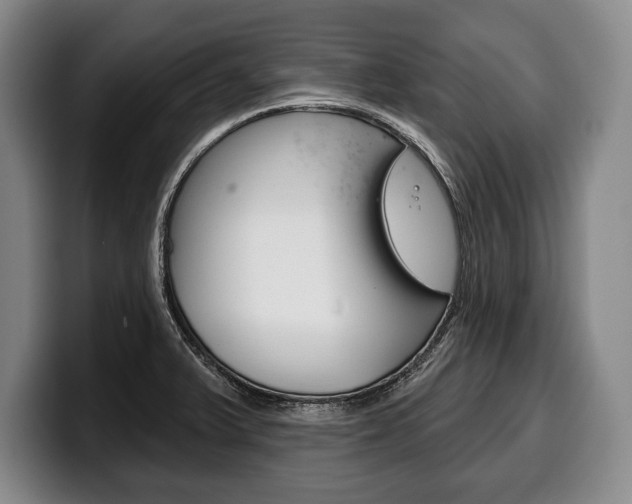 X0000100331375200806051155