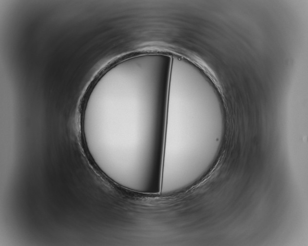 X0000100331376200806051154