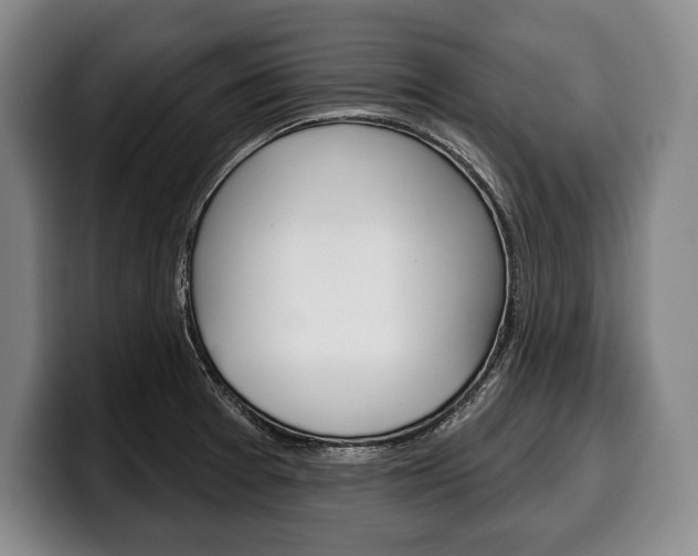 X0000100331377200806051154