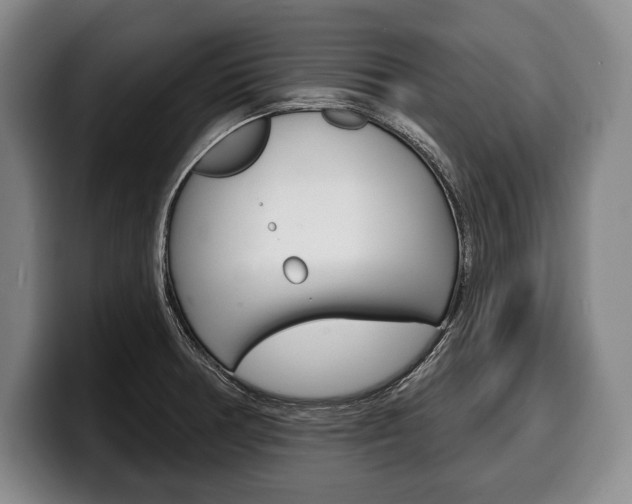 X0000100331378200806051154