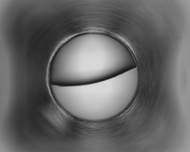 X0000100331379200806051154