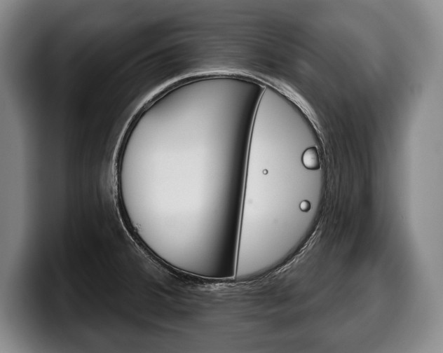 X0000100331380200806051154