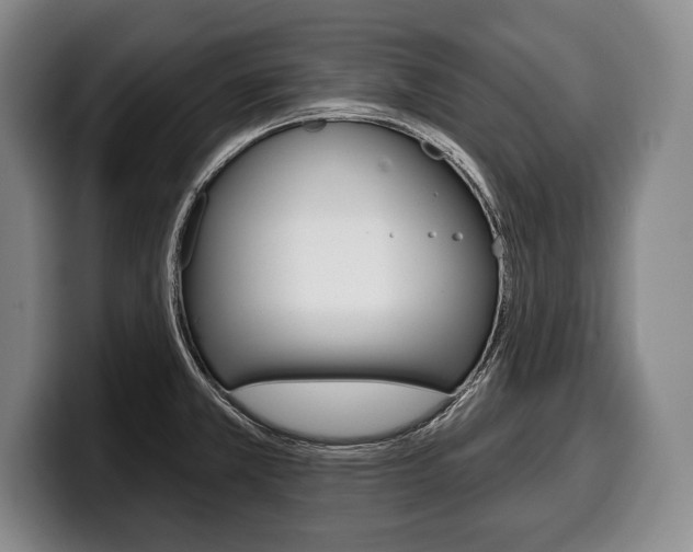 X0000100331381200806051154