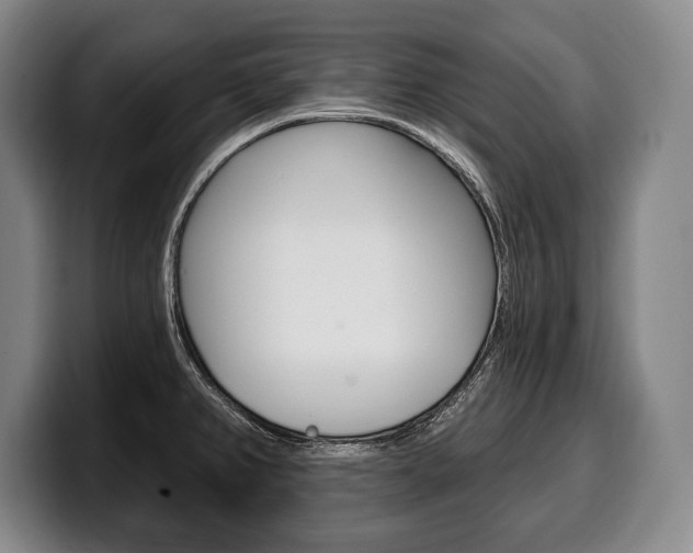 X0000100331382200806051154