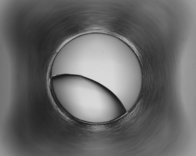 X0000100331383200806051154