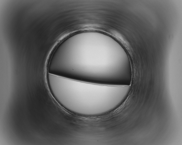 X0000100331384200806051154