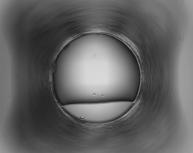 X0000100331385200806051154