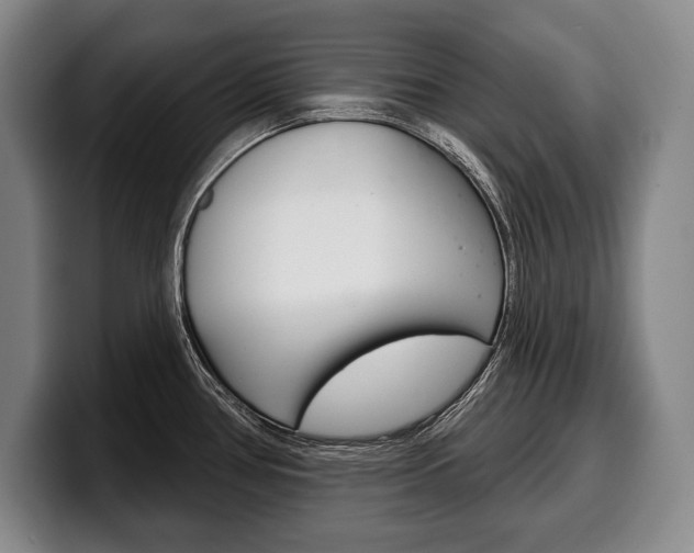 X0000100331386200806051154