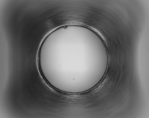 X0000100331387200806051154