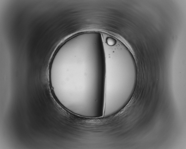 X0000100331388200806051154