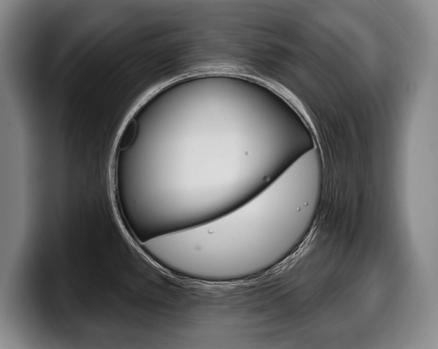 X0000100331389200806051154