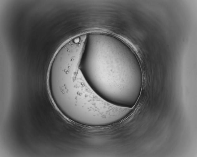 X0000100331391200806051154