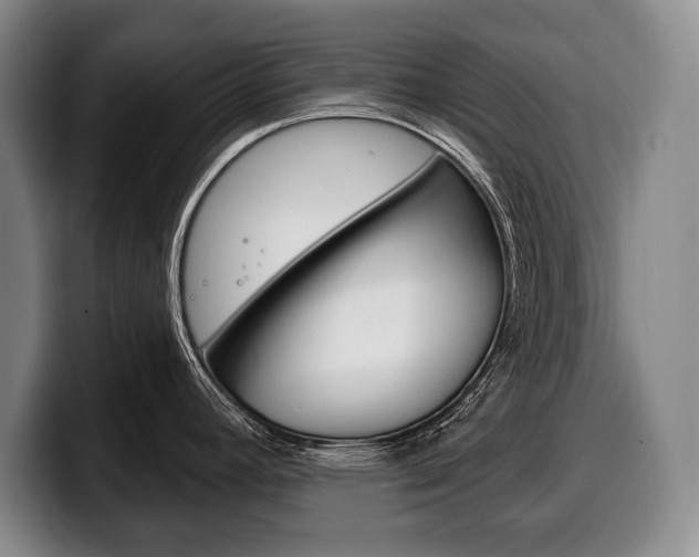 X0000100331392200806051154