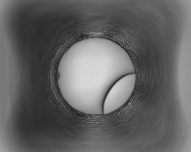 X0000100331393200806051154
