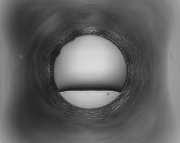 X0000100331394200806051154