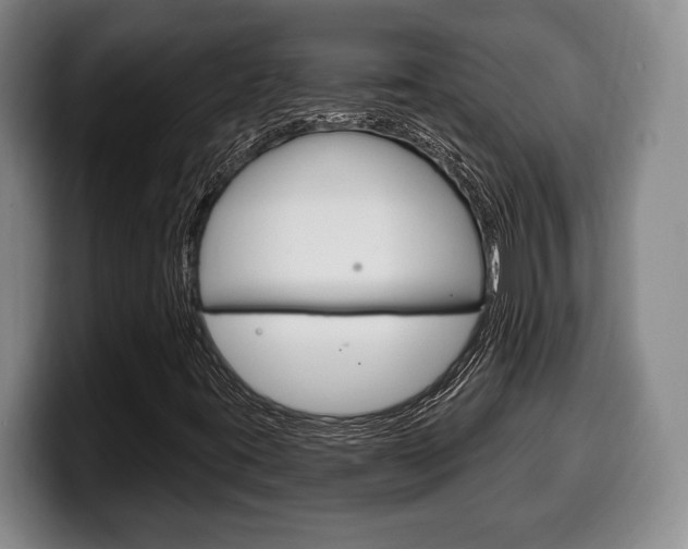 X0000100331395200806051154