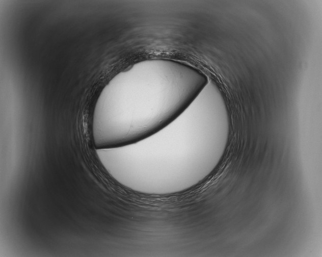 X0000100331396200806051154